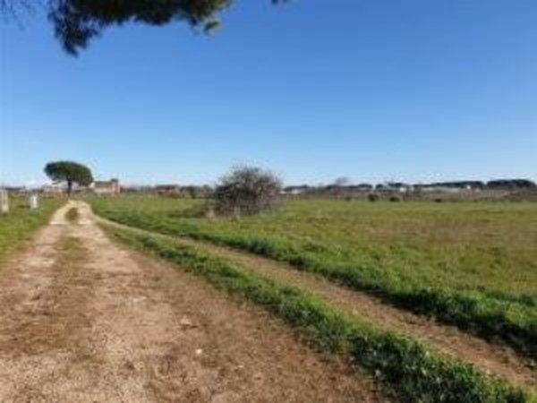 terreno agricolo in vendita ad Aprilia