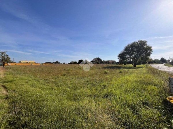 terreno agricolo in vendita ad Aprilia in zona Fossignano