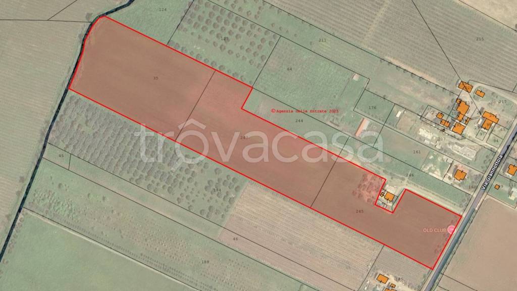 terreno agricolo in vendita ad Aprilia in zona Torre del Padiglione