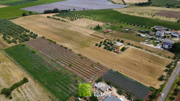 terreno agricolo in vendita ad Aprilia in zona Torre del Padiglione