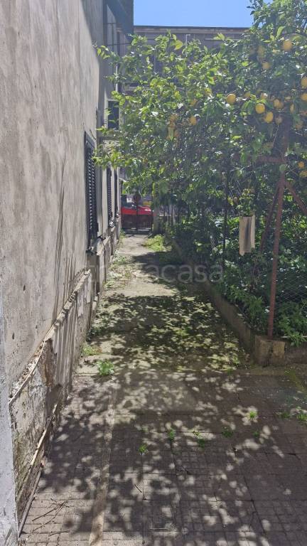 immagine annuncio 0 di 12