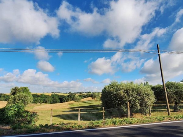terreno agricolo in vendita ad Aprilia in zona Casalazzara