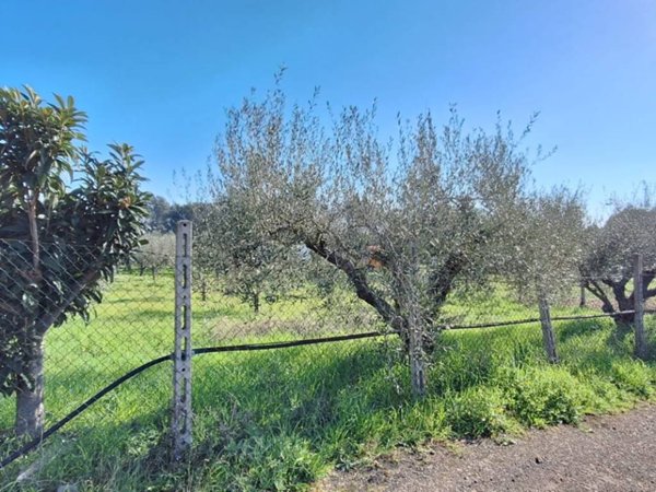 terreno agricolo in vendita ad Aprilia