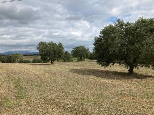 terreno agricolo in vendita ad Aprilia in zona Casalazzara