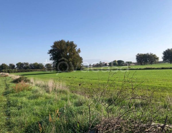 terreno agricolo in vendita ad Aprilia in zona Torre del Padiglione