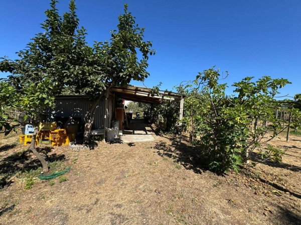 casa indipendente in vendita ad Aprilia in zona Cogna