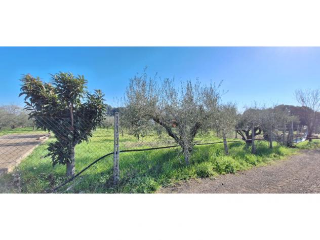 terreno agricolo in vendita ad Aprilia