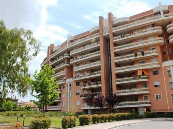 immagine annuncio 0 di 15