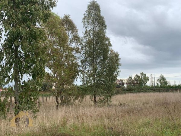 terreno agricolo in vendita ad Aprilia in zona Cogna