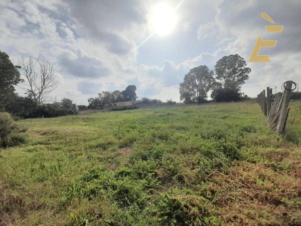 terreno agricolo in vendita ad Aprilia in zona Campo di Carne