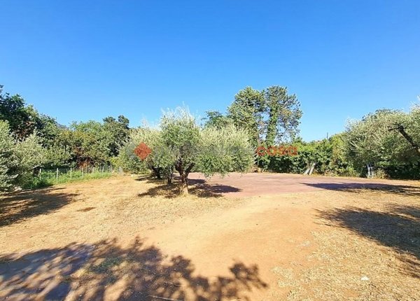 terreno agricolo in vendita ad Aprilia in zona Fossignano