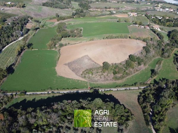 terreno agricolo in vendita ad Aprilia in zona Campoleone