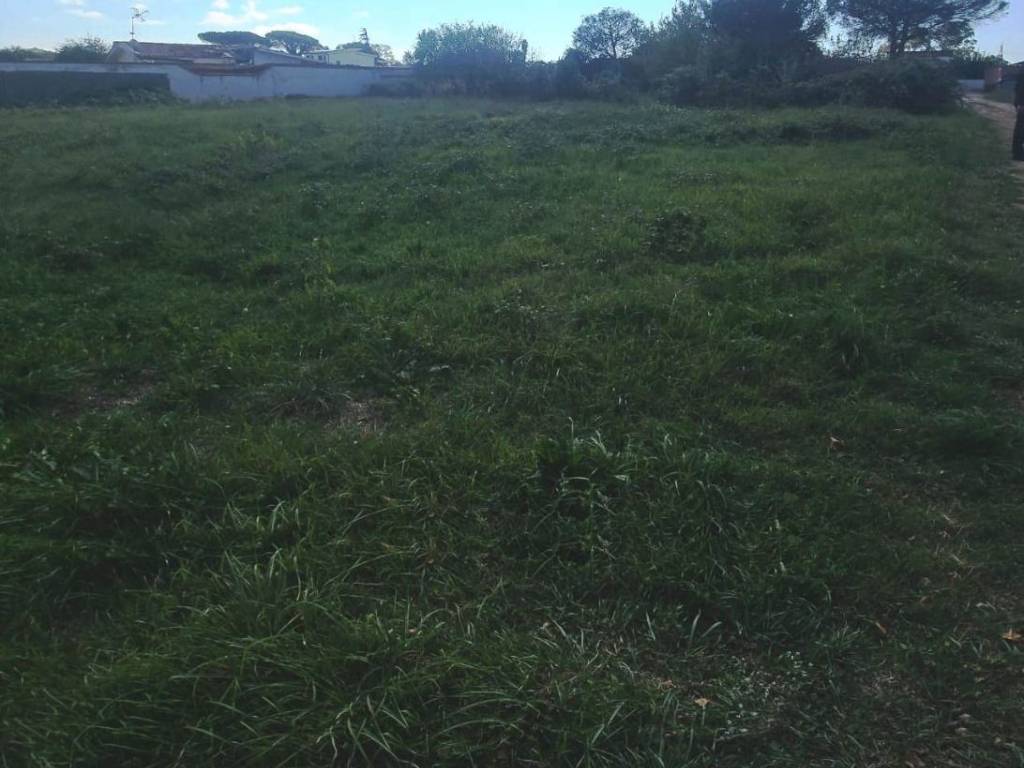 terreno agricolo in vendita ad Aprilia in zona Campo di Carne