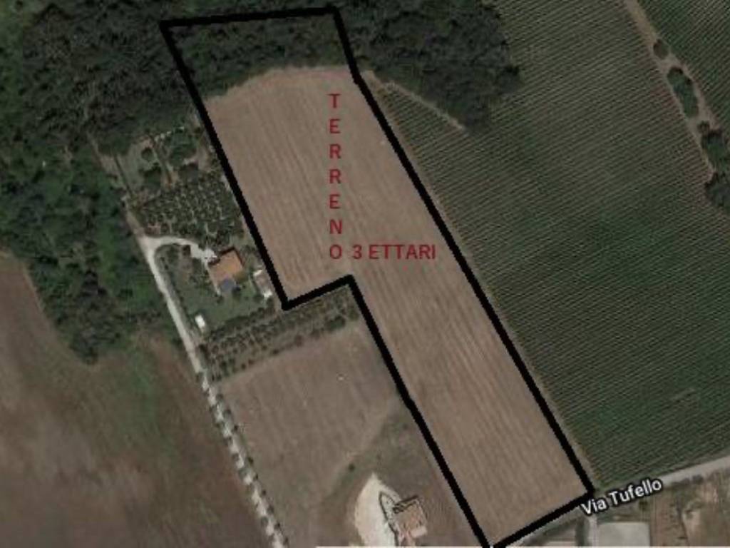 terreno agricolo in vendita ad Aprilia in zona Campoleone