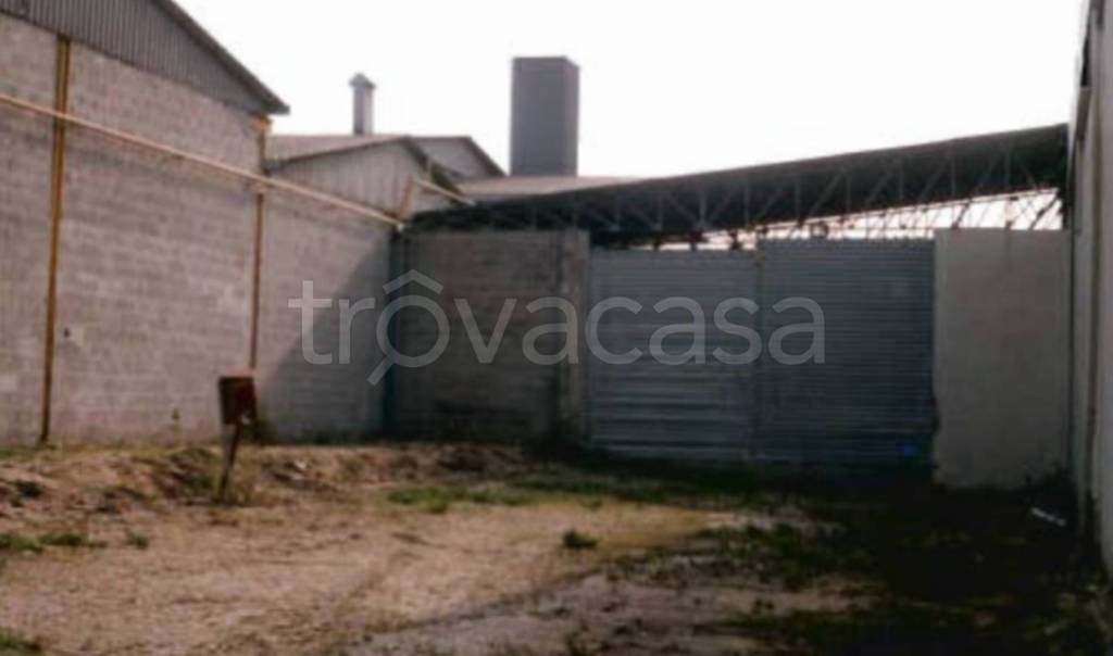 terreno agricolo in vendita ad Aprilia in zona Casalazzara