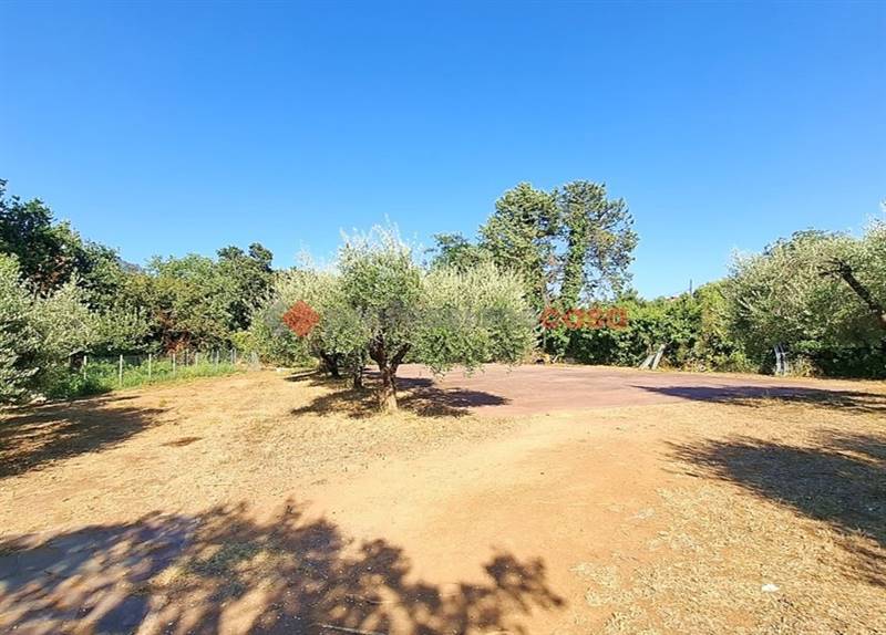terreno agricolo in vendita ad Aprilia