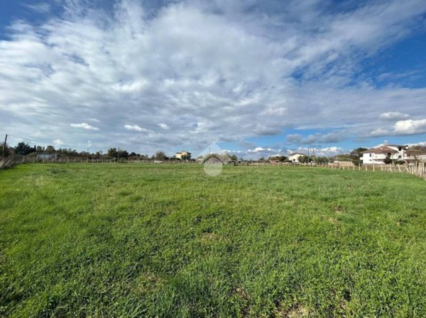 terreno agricolo in vendita ad Aprilia in zona Torre del Padiglione