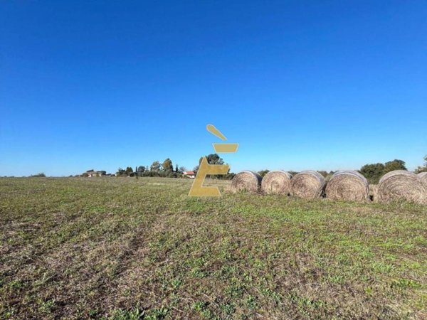terreno agricolo in vendita ad Aprilia in zona Fossignano