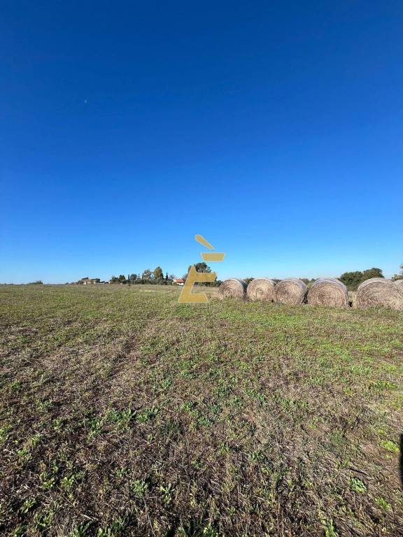 terreno agricolo in vendita ad Aprilia in zona Fossignano