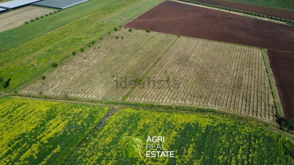 terreno agricolo in vendita ad Aprilia