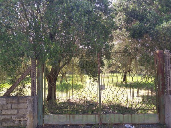 negozio in vendita ad Aprilia