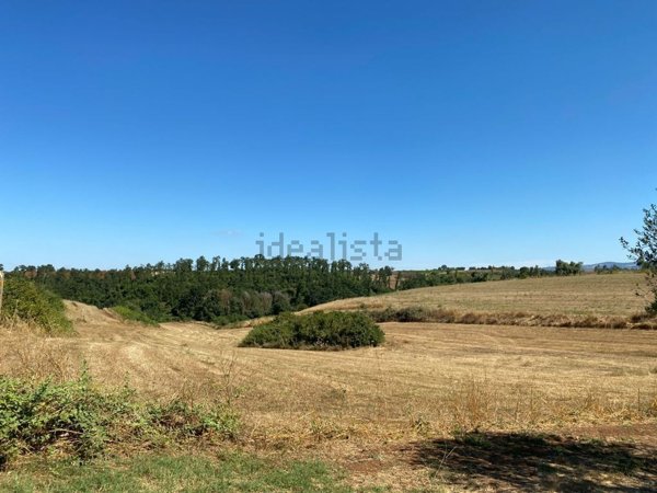 terreno agricolo in vendita ad Aprilia