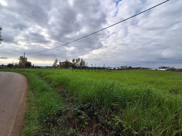 terreno agricolo in vendita ad Aprilia