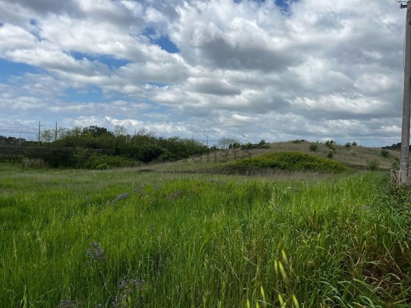 terreno agricolo in vendita ad Aprilia