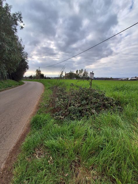 terreno agricolo in vendita ad Aprilia in zona Campoleone