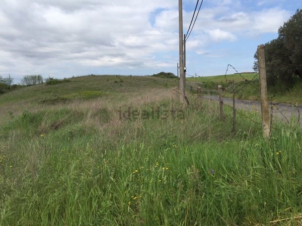 terreno agricolo in vendita ad Aprilia in zona Campoleone