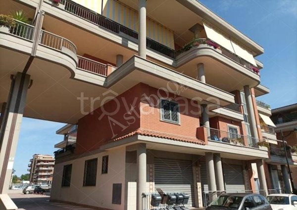 negozio in vendita ad Aprilia