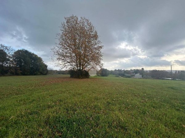 terreno agricolo in vendita ad Aprilia in zona Campoleone