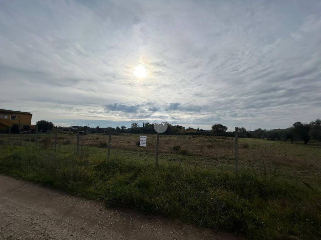 terreno agricolo in vendita ad Aprilia in zona Campo di Carne
