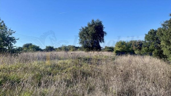 terreno agricolo in vendita ad Aprilia