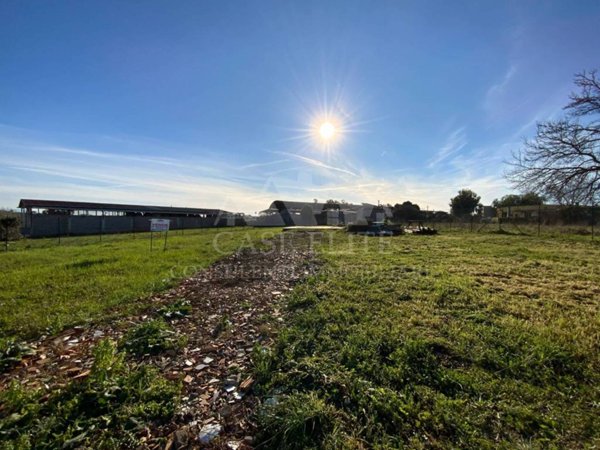 terreno agricolo in vendita ad Aprilia in zona Fossignano