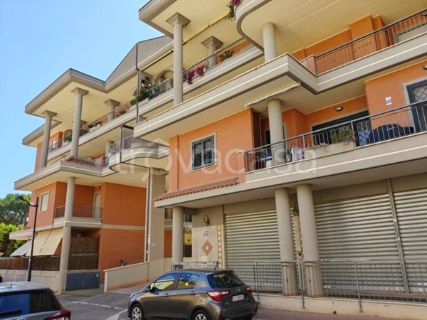 negozio in vendita ad Aprilia