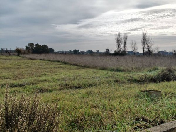 terreno agricolo in vendita ad Aprilia in zona Riserva Nuova