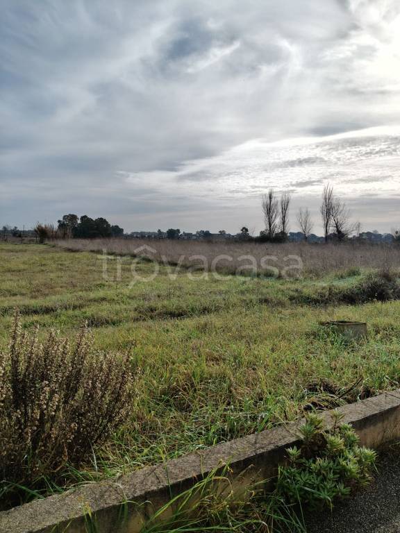 terreno agricolo in vendita ad Aprilia in zona Genio Civile