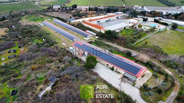 terreno agricolo in vendita ad Aprilia in zona Campoleone