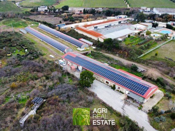 terreno agricolo in vendita ad Aprilia in zona Campoleone