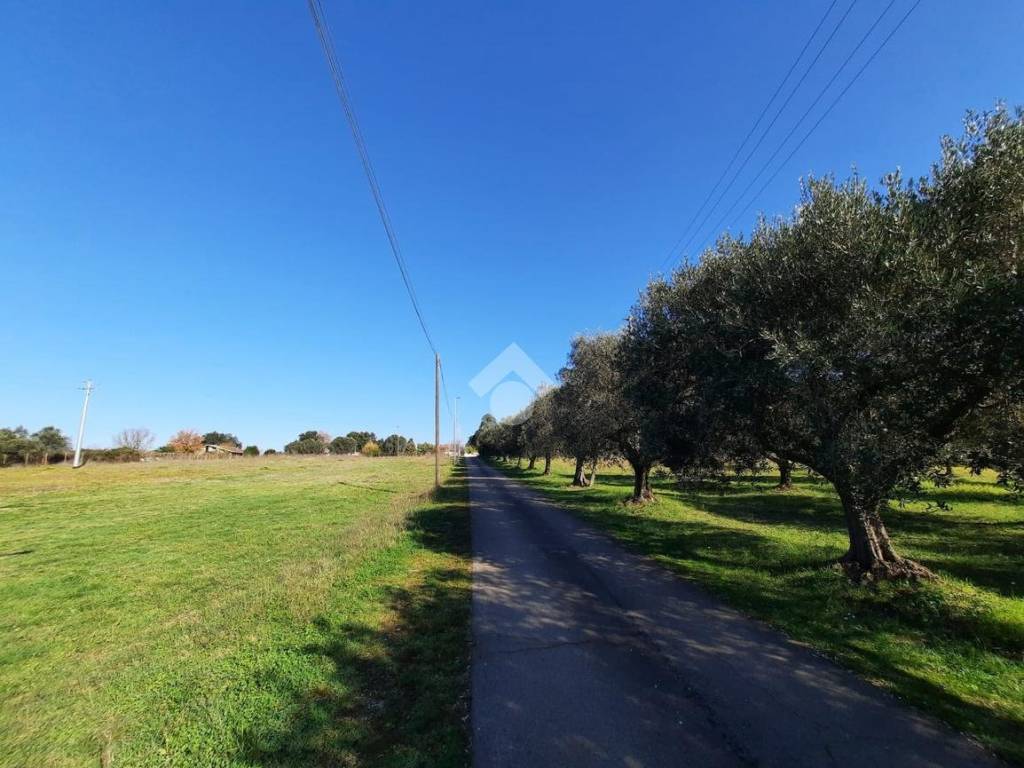 terreno agricolo in vendita ad Aprilia in zona Casalazzara