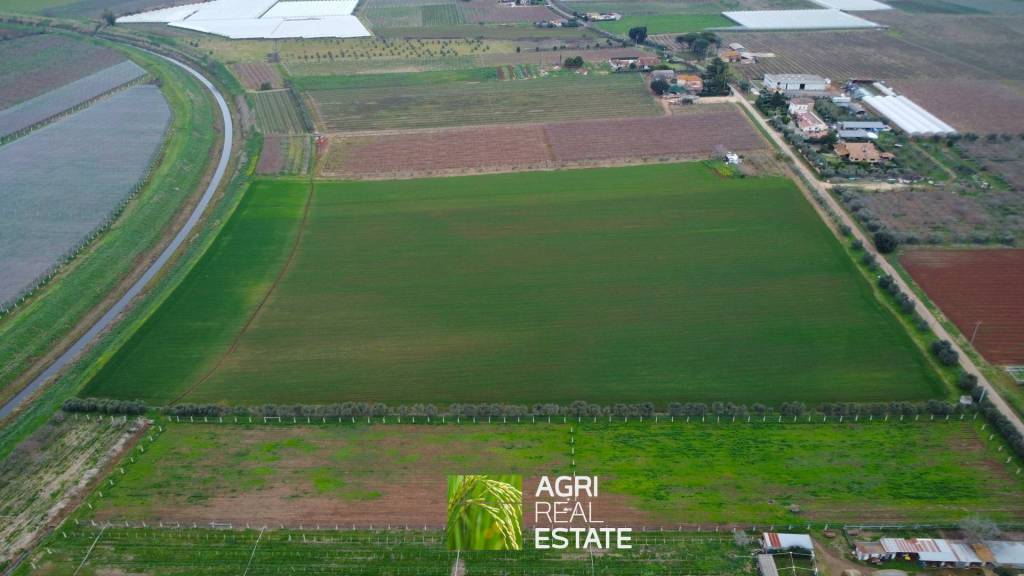 terreno agricolo in vendita ad Aprilia in zona Torre del Padiglione