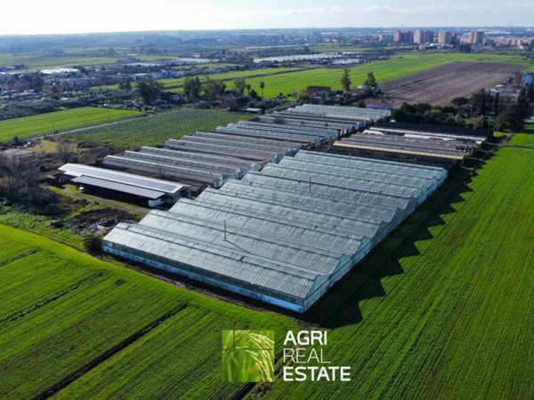 terreno agricolo in vendita ad Aprilia in zona Torre del Padiglione