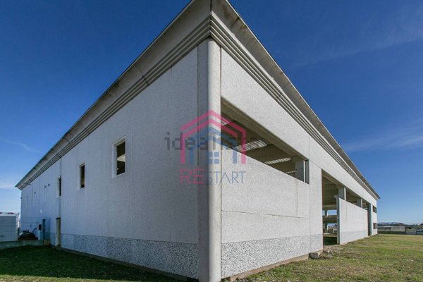 capannone in vendita ad Aprilia