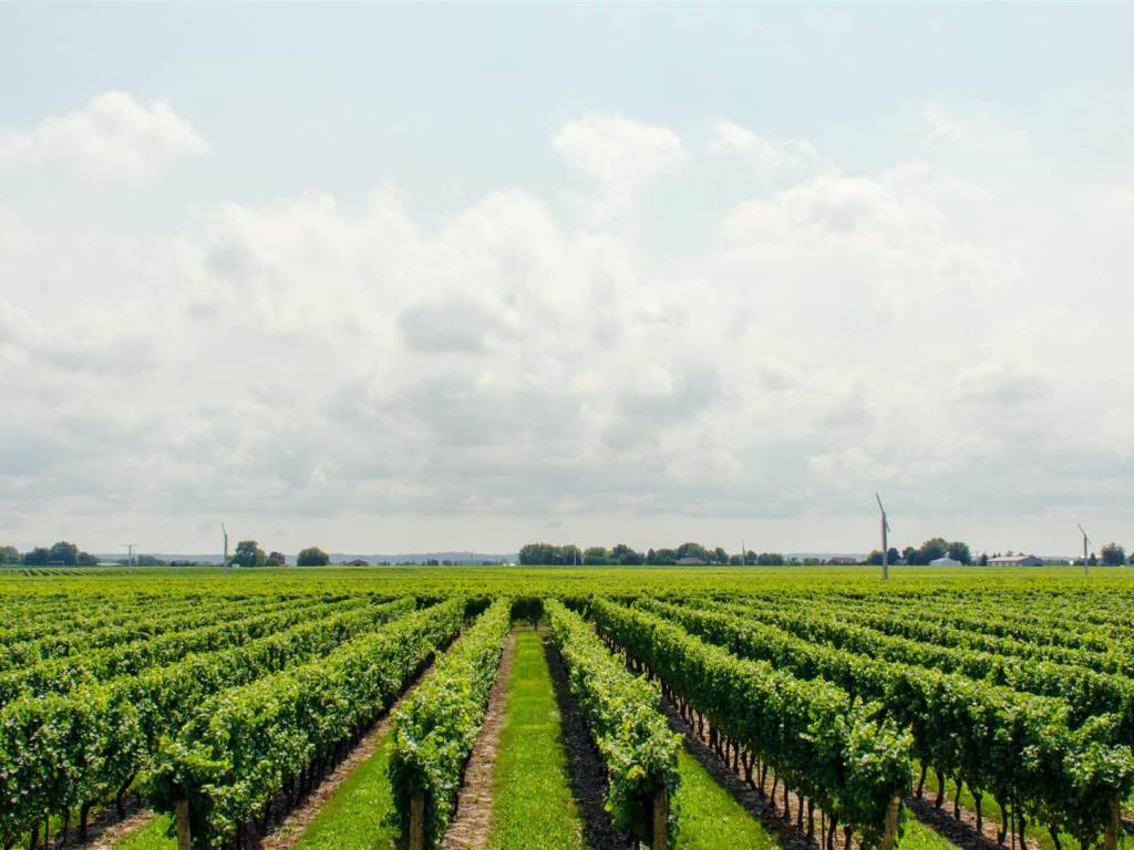 azienda agricola in vendita ad Aprilia in zona Campoverde