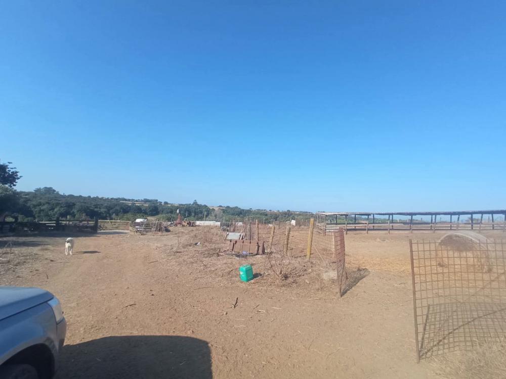 immagine annuncio 0 di 5