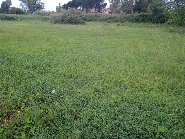 terreno agricolo in vendita ad Aprilia