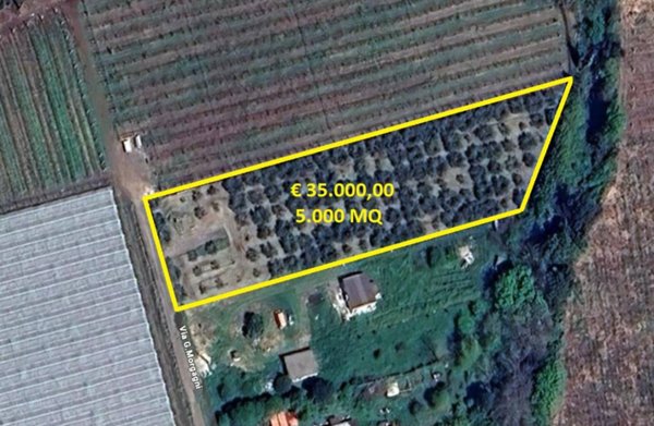 terreno agricolo in vendita ad Aprilia