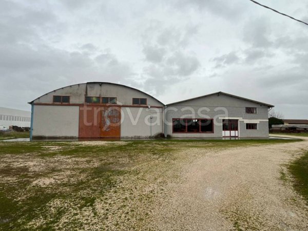 locale commerciale in vendita ad Aprilia in zona Torre del Padiglione