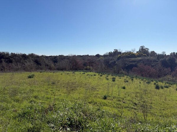 terreno agricolo in vendita ad Aprilia in zona Fossignano